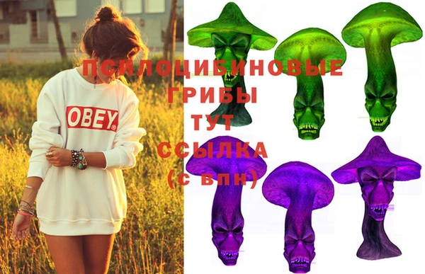 шишки Нея