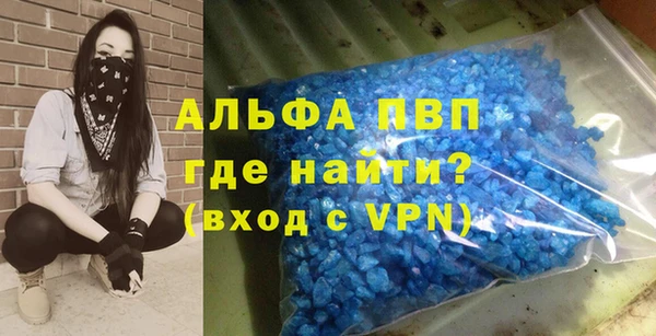 шишки Нея