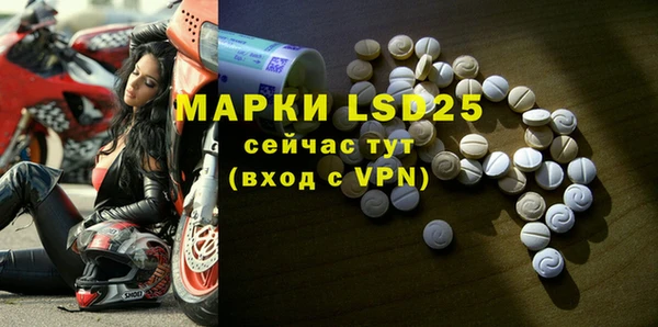шишки Нея