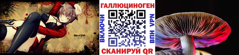 что такое наркотик  Электроугли  Галлюциногенные грибы GOLDEN TEACHER 